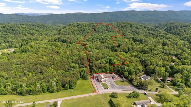 530 Blockhouse Rd, Maryville, TN 37803 - photo 2