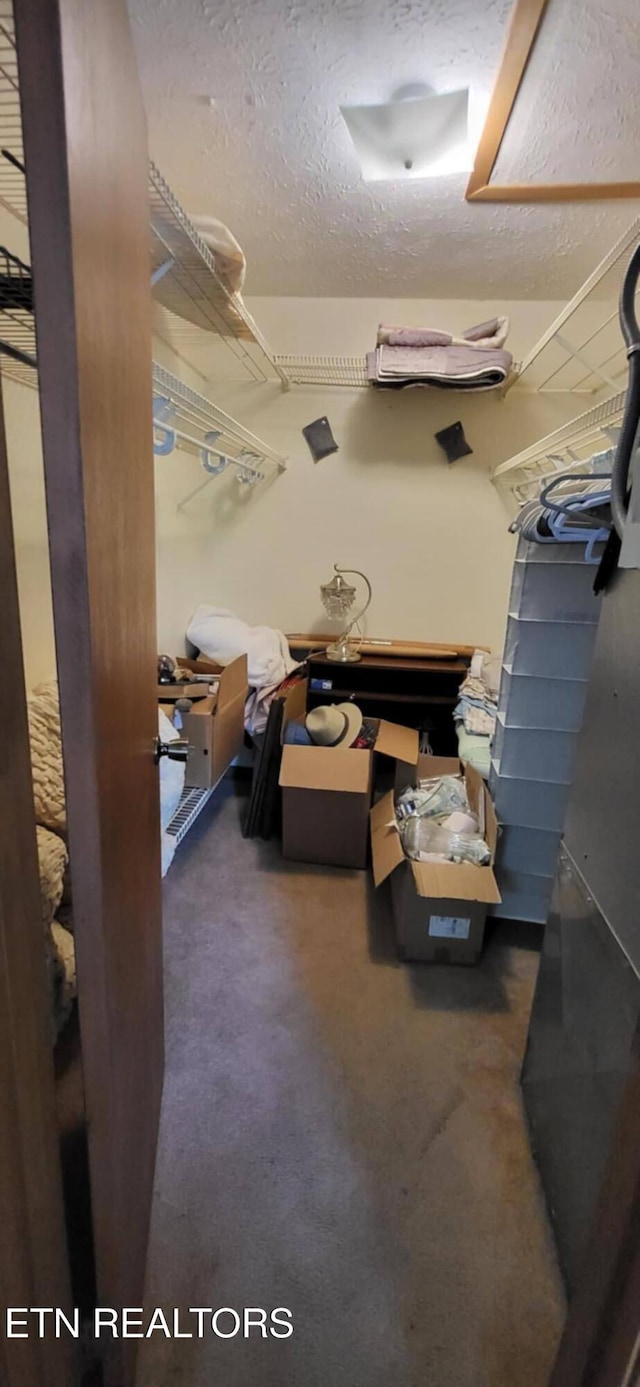 spacious closet with carpet