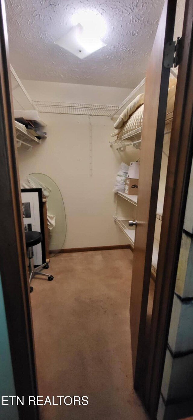 spacious closet featuring carpet floors