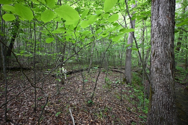 163 Fern Springs Rd, Hohenwald, TN 38462
