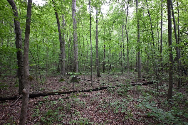 163 Fern Springs Rd, Hohenwald, TN 38462