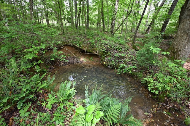 163 Fern Springs Rd, Hohenwald, TN 38462