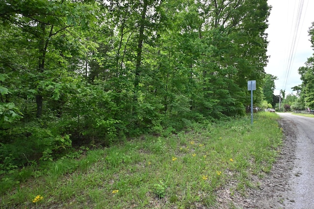 163 Fern Springs Rd, Hohenwald, TN 38462