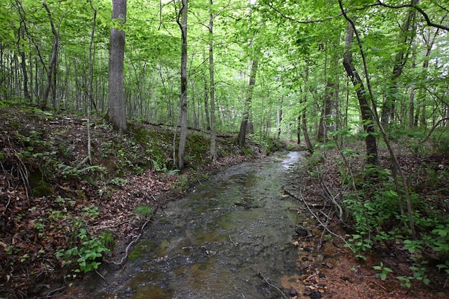 163 Fern Springs Rd, Hohenwald, TN 38462