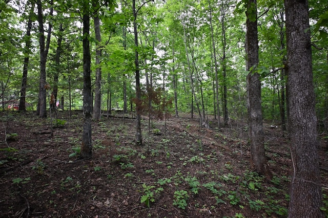 163 Fern Springs Rd, Hohenwald, TN 38462