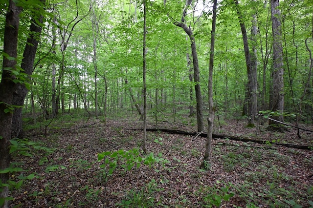 163 Fern Springs Rd, Hohenwald, TN 38462