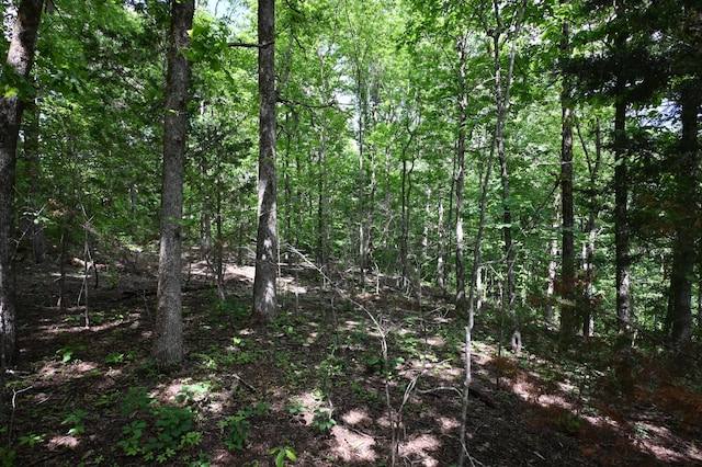163 Fern Springs Rd, Hohenwald, TN 38462