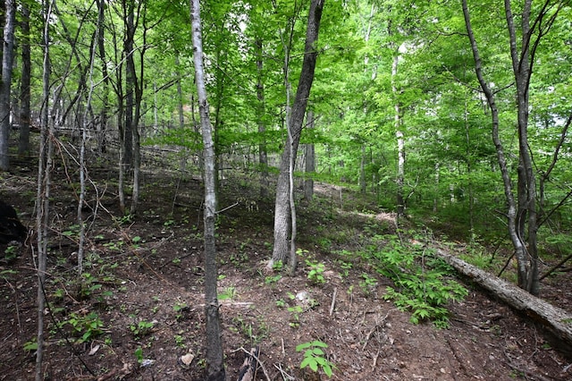 163 Fern Springs Rd, Hohenwald, TN 38462