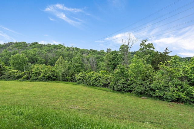 7277 Charlotte Pike Unit 353, Nashville, TN 37209 - photo 30