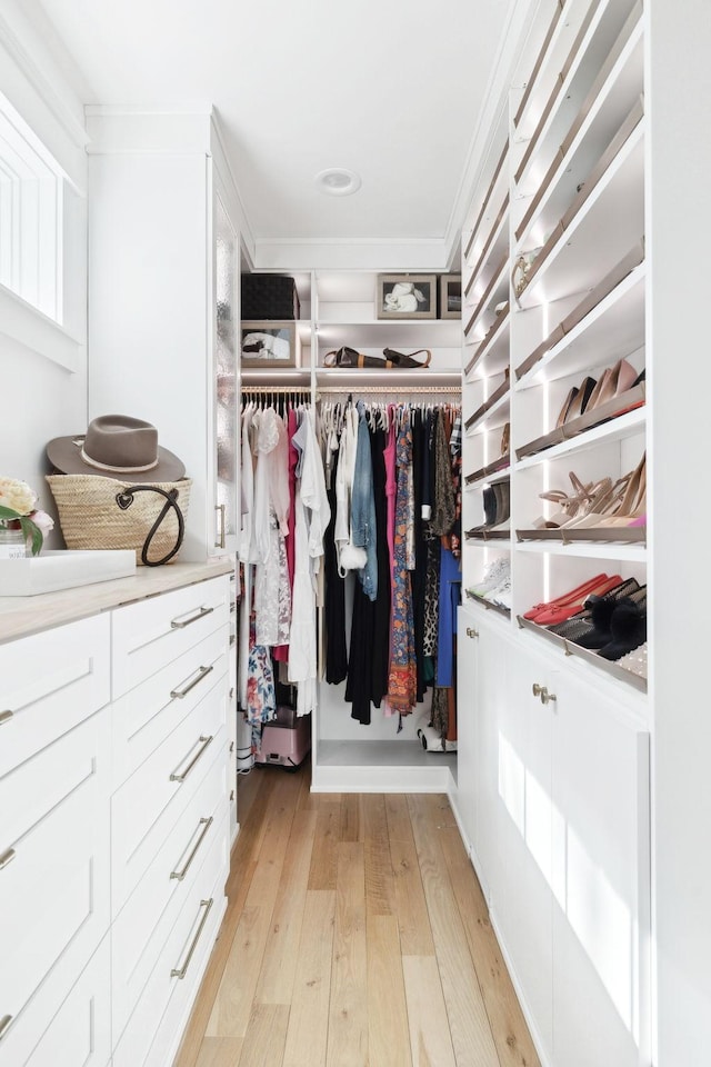 spacious closet featuring light wood-style flooring