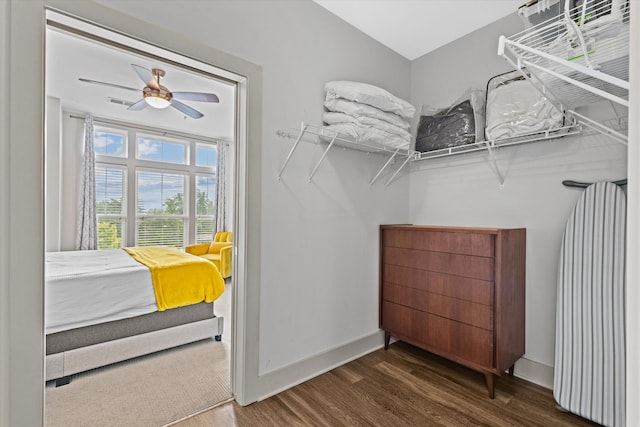 walk in closet featuring wood finished floors and a ceiling fan