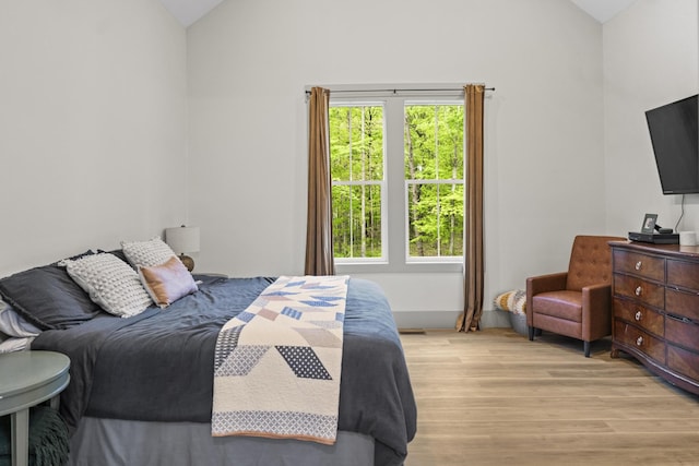 12684 US Highway 41, Tracy City, TN 37387 - bedroom featuring light wood finished floors and high vaulted ceiling