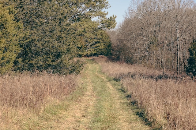 0 Rhea County Hwy, Dayton, TN 37321 - photo 13