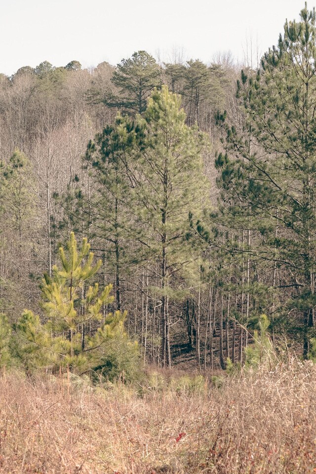 0 Rhea County Hwy, Dayton, TN 37321 - photo 9