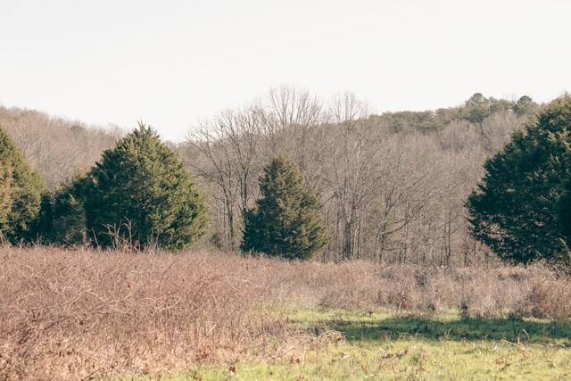 0 Rhea County Hwy, Dayton, TN 37321 - photo 27