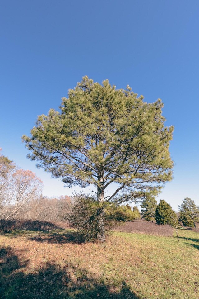 0 Rhea County Hwy, Dayton, TN 37321 - photo 33