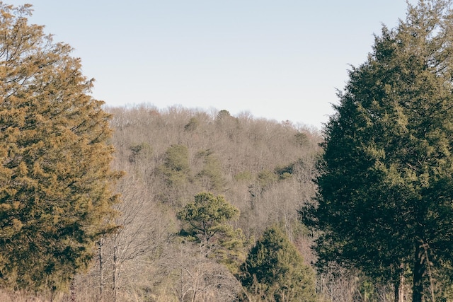0 Rhea County Hwy, Dayton, TN 37321 - photo 11