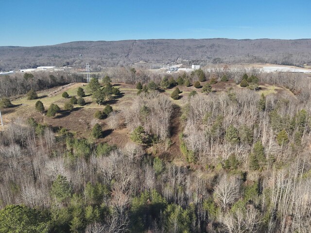 0 Rhea County Hwy, Dayton, TN 37321 - photo 51