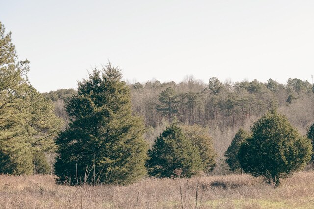 0 Rhea County Hwy, Dayton, TN 37321 - photo 17