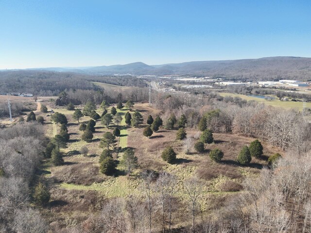 0 Rhea County Hwy, Dayton, TN 37321 - photo 53