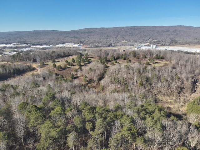 0 Rhea County Hwy, Dayton, TN 37321 - photo 52