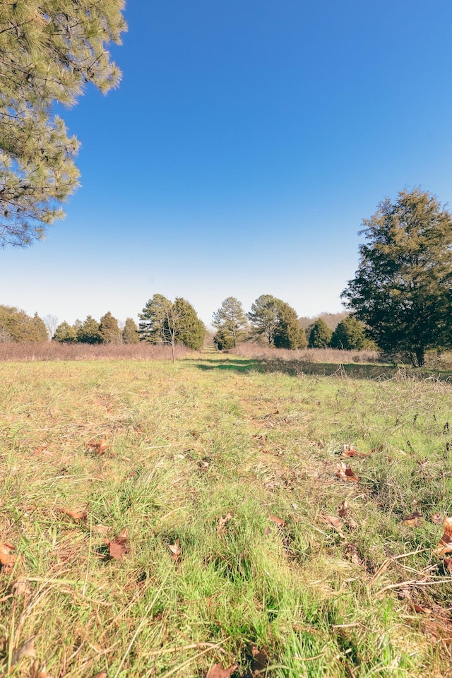 0 Rhea County Hwy, Dayton, TN 37321 - photo 32