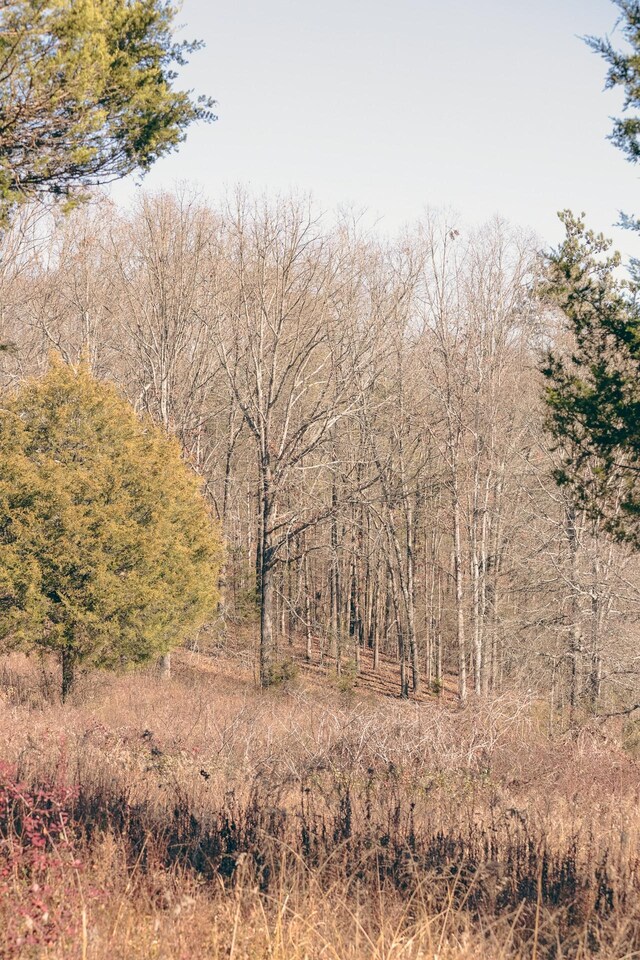 0 Rhea County Hwy, Dayton, TN 37321 - photo 8