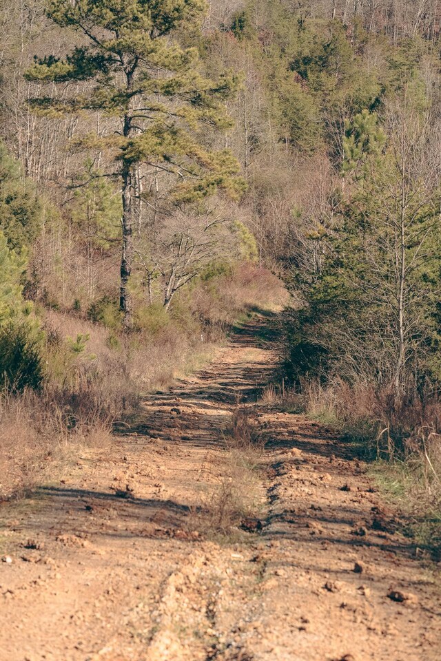 0 Rhea County Hwy, Dayton, TN 37321 - photo 7