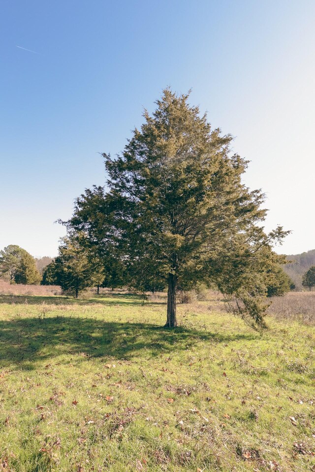 0 Rhea County Hwy, Dayton, TN 37321 - photo 35