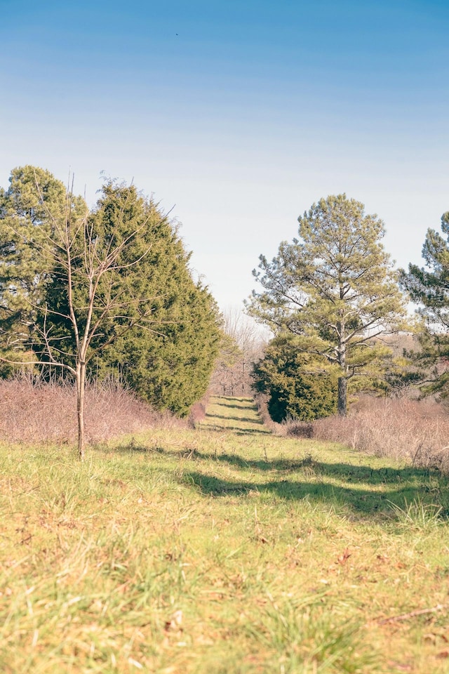 0 Rhea County Hwy, Dayton, TN 37321 - photo 30