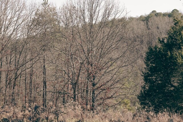 0 Rhea County Hwy, Dayton, TN 37321 - photo 14