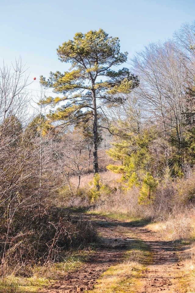 0 Rhea County Hwy, Dayton, TN 37321 - photo 2