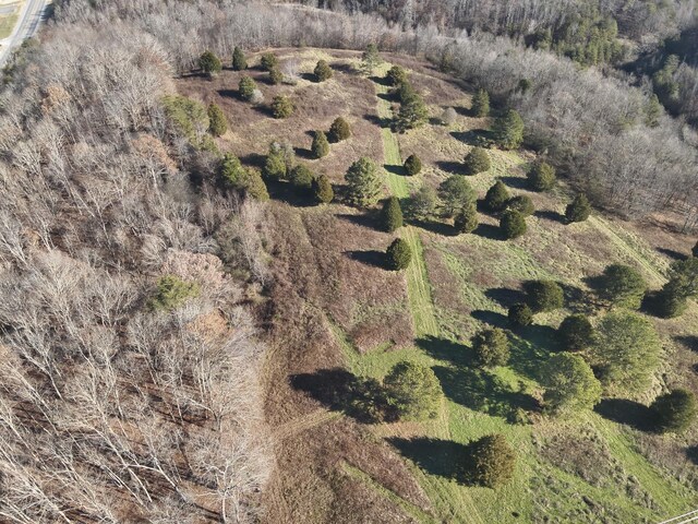 0 Rhea County Hwy, Dayton, TN 37321 - photo 40