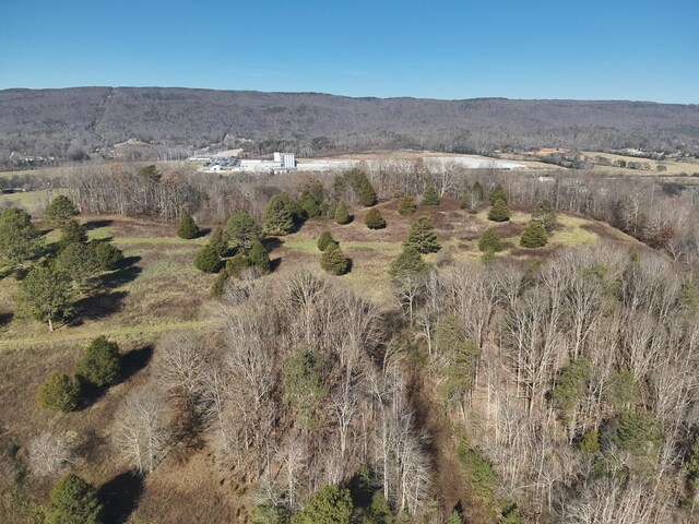 0 Rhea County Hwy, Dayton, TN 37321 - photo 48