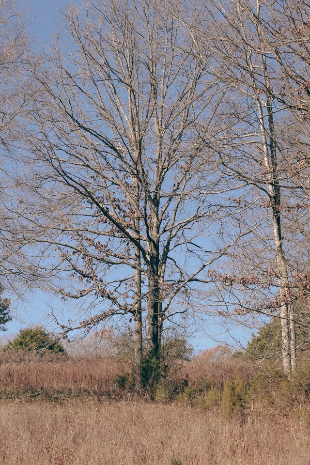 0 Rhea County Hwy, Dayton, TN 37321 - photo 4