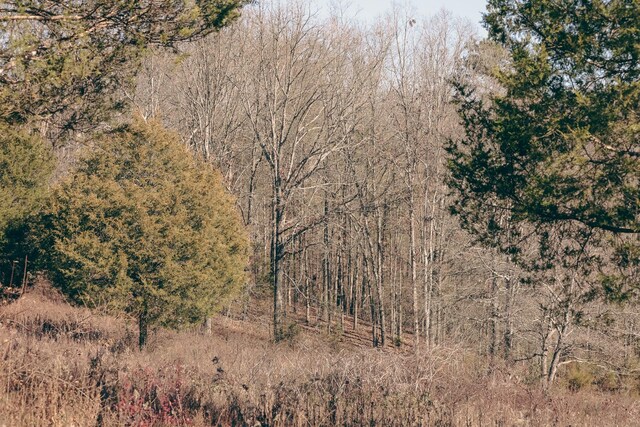 0 Rhea County Hwy, Dayton, TN 37321 - photo 10