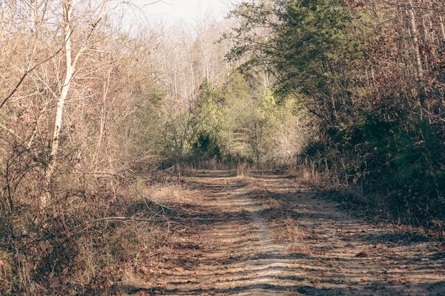 0 Rhea County Hwy, Dayton, TN 37321 - photo 3