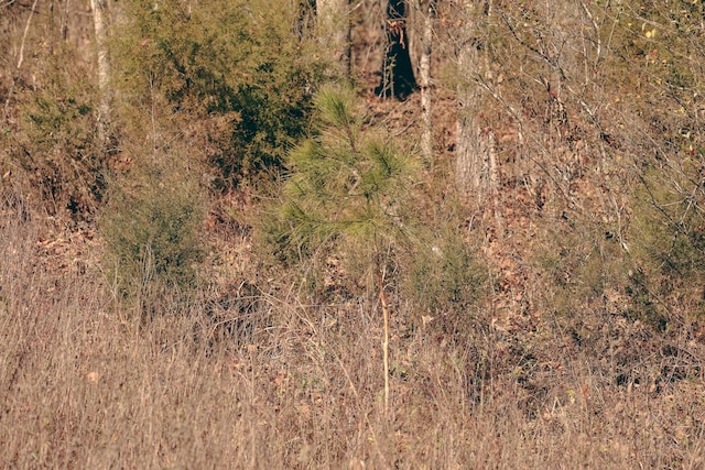 0 Rhea County Hwy, Dayton, TN 37321 - photo 6