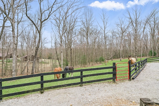 218 Wild Cat Rd, Jamestown, TN 38556 - photo 42