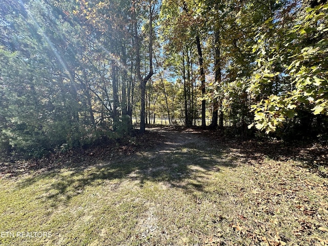 0 Leatherwood Ford Rd, Jamestown, TN 38556 - photo 9