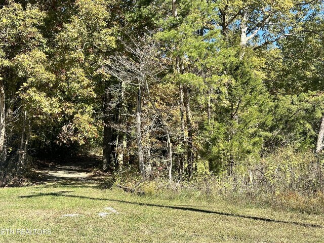 0 Leatherwood Ford Rd, Jamestown, TN 38556 - photo 6