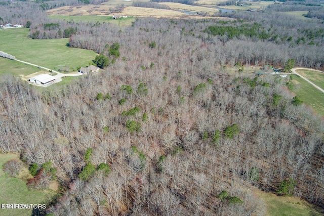 0 Hitchin Post Dr, Jamestown, TN 38556