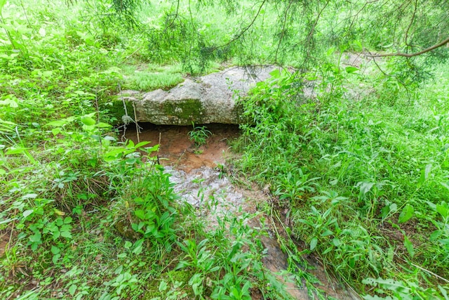2046 Scribners Mill Rd, Culleoka, TN 38451 - view of nature