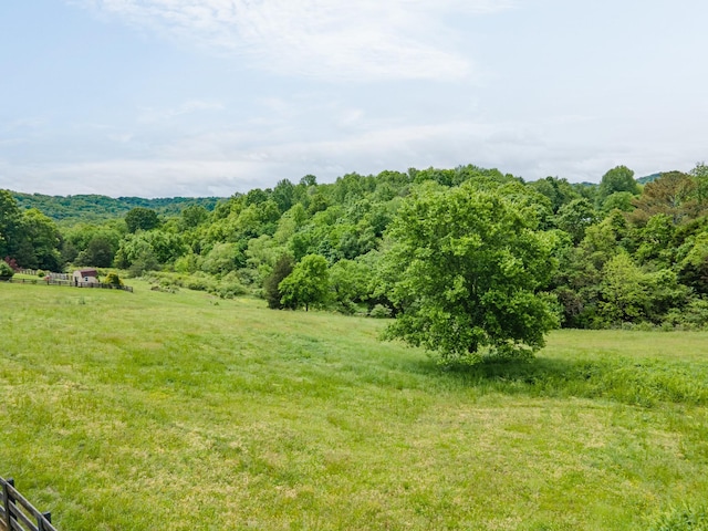 2046 Scribners Mill Rd, Culleoka, TN 38451 - view of wooded area featuring a rural view