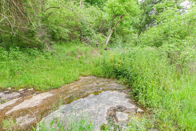 2046 Scribners Mill Rd, Culleoka, TN 38451 - view of nature