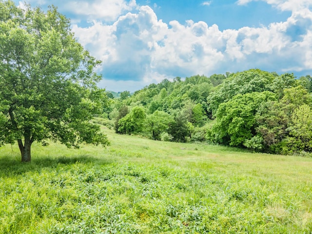 2046 Scribners Mill Rd, Culleoka, TN 38451 - view of wooded area featuring a view of countryside