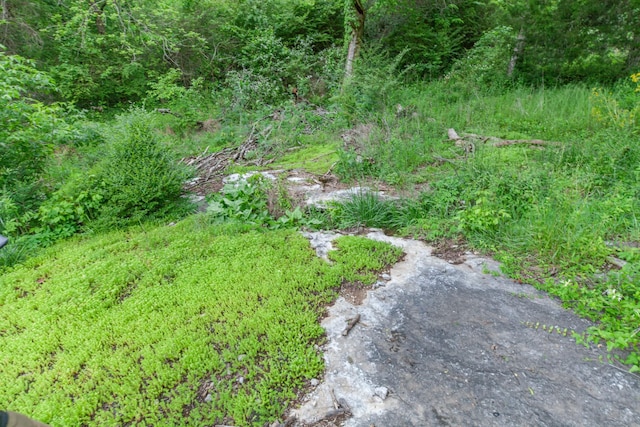 2046 Scribners Mill Rd, Culleoka, TN 38451 - view of yard