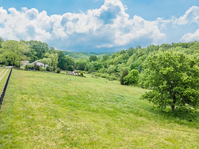 2046 Scribners Mill Rd, Culleoka, TN 38451 - view of yard with a rural view