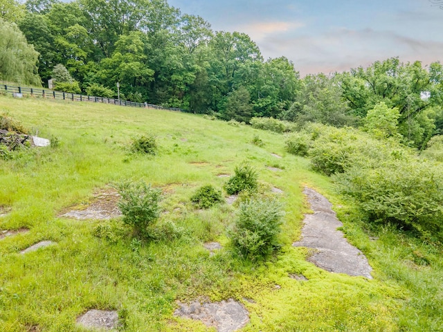 2046 Scribners Mill Rd, Culleoka, TN 38451 - view of yard featuring fence
