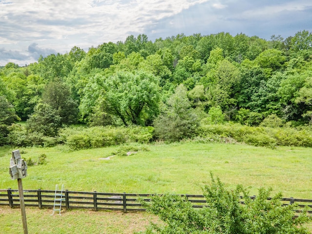 2046 Scribners Mill Rd, Culleoka, TN 38451 - view of yard with fence and a view of trees